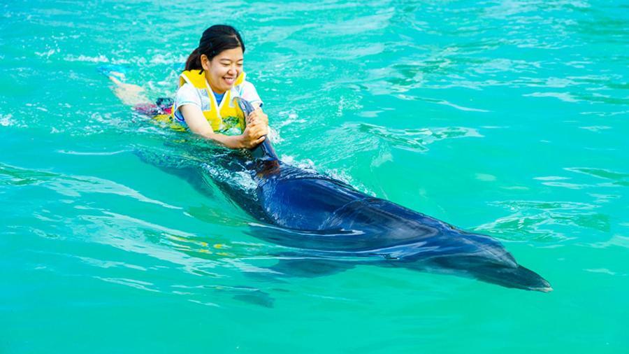 Marine Piazza Okinawa 3*
